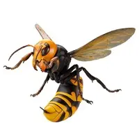 Rebojio Asian Giant Hornet