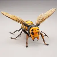 Rebojio Asian Giant Hornet