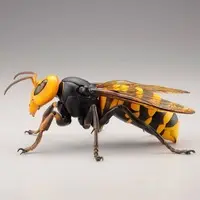Rebojio Asian Giant Hornet
