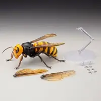 Rebojio Asian Giant Hornet