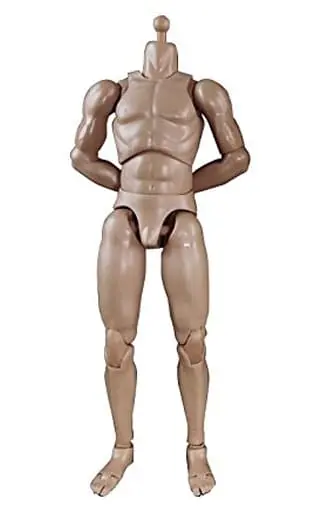 Male Standard Muscle Arm