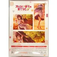 Figure - Saekano / Kasumigaoka Utaha