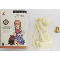 Resin Cast Assembly Kit - Figure - Tokimeki Memorial