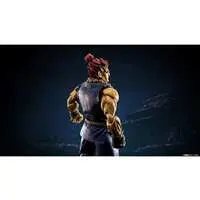 S.H.Figuarts - Street Fighter / Gouki (Akuma)