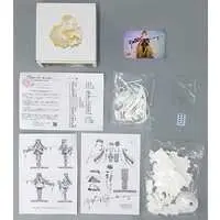 Resin Cast Assembly Kit - Garage Kit - Figure - Fate/Grand Order / Artoria Caster