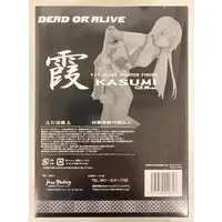 Figure - Dead or Alive / Kasumi