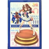 Figure - Uma Musume: Pretty Derby / Tokai Teio