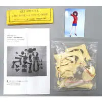 Garage Kit - Figure - The Melancholy of Haruhi Suzumiya / Suzumiya Haruhi