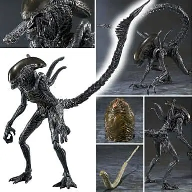 Figure - Alien vs. Predator