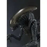 Figure - Alien vs. Predator