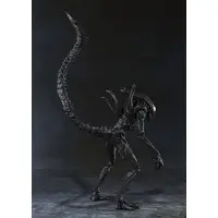 Figure - Alien vs. Predator