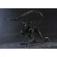 Figure - Alien vs. Predator