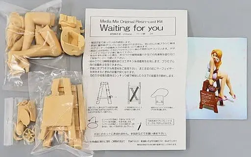 Waiting for you Resin Cast Kit