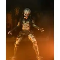 Figure - Predator