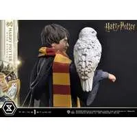 Figure - Harry Potter / Hedwig