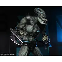 Figure - Predator