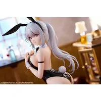 SEI illustration by CABA 1/6 Complete Figure Deluxe Edition