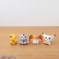 Lookup - Digimon Adventure / Patamon