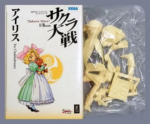 Figure - Resin Cast Assembly Kit - Sakura Taisen (Sakura Wars)