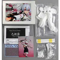 Figure - Garage Kit - Fate/Grand Order / Tomoe Gozen (Fate series)