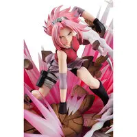 Naruto Gals - NARUTO / Haruno Sakura