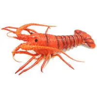 Prize Figure - Figure - Ise-ebi (Japanese spiny lobster)