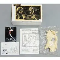 Figure - Resin Cast Assembly Kit - Kamen Rider Series