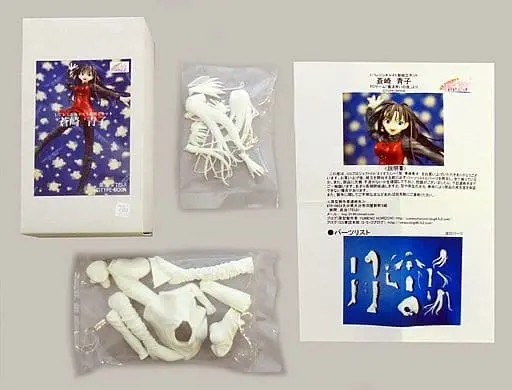 Figure - Resin Cast Assembly Kit - Mahoutsukai no Yoru (Witch on the Holy Night) / Aozaki Aoko