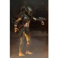 Figure - Predator