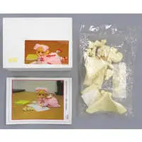 Garage Kit - Figure - Rozen Maiden / Hinaichigo