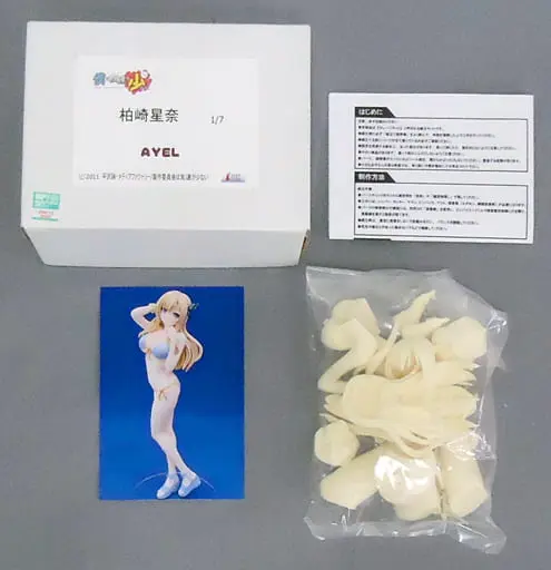 Figure - Garage Kit - Resin Cast Assembly Kit - Haganai / Kashiwazaki Sena
