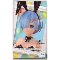 BiCute Bunnies - Re:Zero / Rem