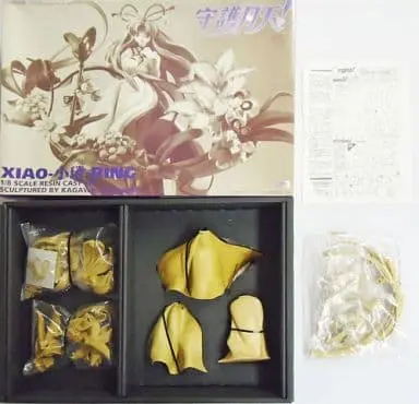 Figure - Resin Cast Assembly Kit - Mamotte Shugogetten! (Protect Me, Heavenly Moon Guardian!) / Rishu