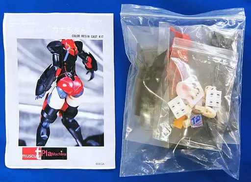 Figure - Resin Cast Assembly Kit - Phantasy Star