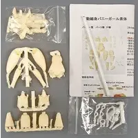 figma - Megami Device