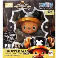 P.O.P (Portrait.Of.Pirates) - One Piece / Tony Tony Chopper