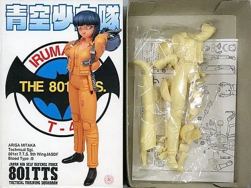 Resin Cast Assembly Kit - Figure - 801 T.T.S. Airbats