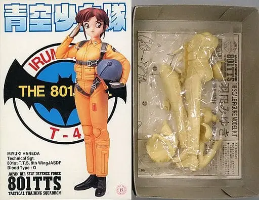 Figure - Resin Cast Assembly Kit - 801 T.T.S. Airbats