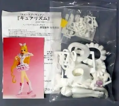 Figure - Resin Cast Assembly Kit - Pretty Cure series