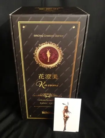 Creator's Opinion - Hanasumi Mi