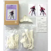 Resin Cast Assembly Kit - Figure - Fate/Grand Order / Scáthach (Fate series)