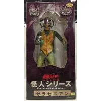 Figure - Kamen Rider Series