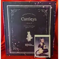 BINDing - Cattleya - Houtengeki