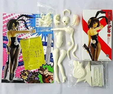 Garage Kit - Figure - The Melancholy of Haruhi Suzumiya