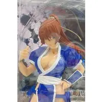 Prize Figure - Figure - Dead or Alive / Kasumi