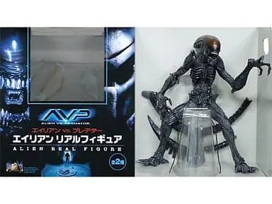 Prize Figure - Figure - Alien vs. Predator