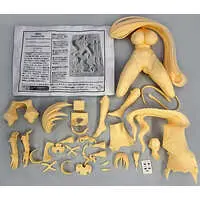 Resin Cast Assembly Kit - Figure - Fate/Grand Order / Minamoto no Raikou (Fate series)