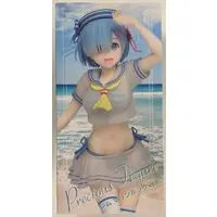 Precious Figure - Re:Zero / Rem