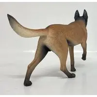 Figure - TOYSCITY (TOYSCITY WORKING DOG MALINOIS / VER 2.0 1/6スケール)