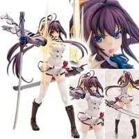 Figure - Infinite Stratos / Shinonono Houki